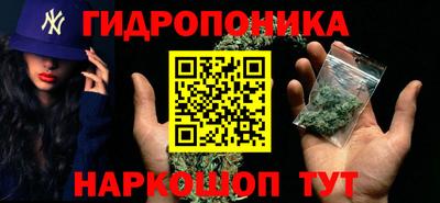 прущие грибы Партизанск