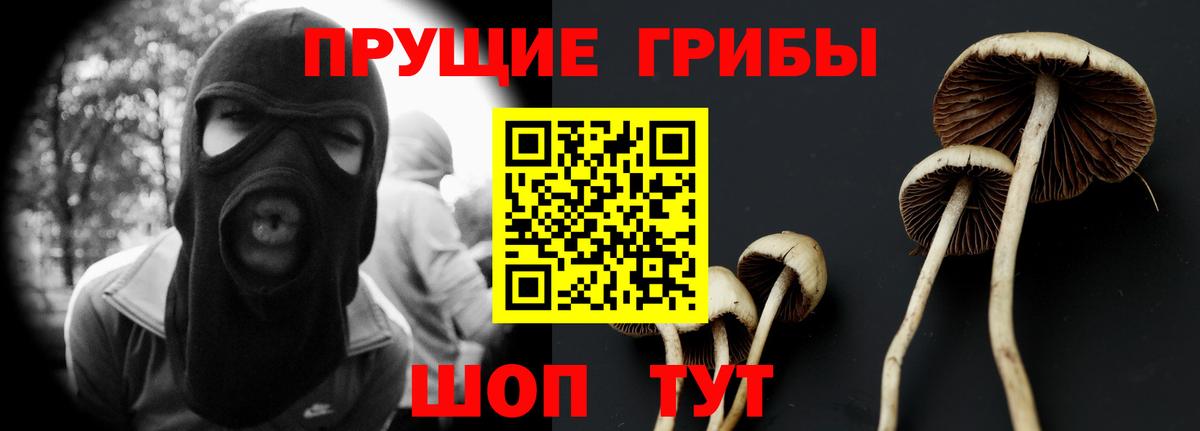 Оренбург  Галлюциногенные грибы мицелий  Вход с VPN 